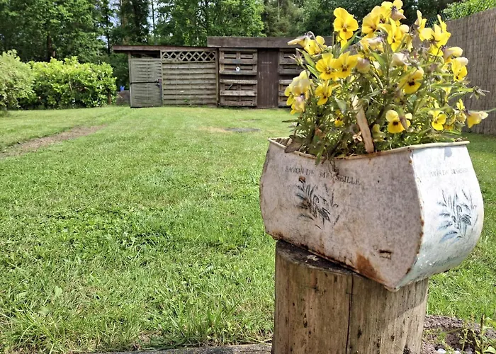 Walls 1 Appartement Wallsbull